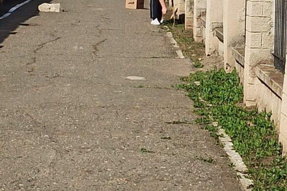 IMG-f319139a291906004bdfeac3331838a5-V (1)