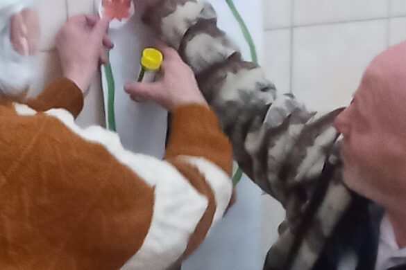 IMG_20221118_101705_9